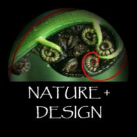 Nature + Design image 12
